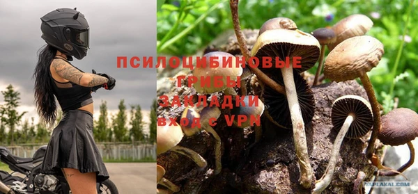 jwh Магас