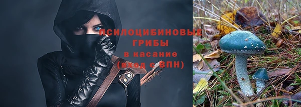 jwh Магас