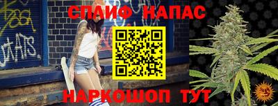 стафф Балаково