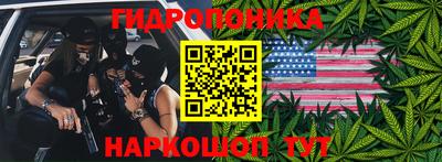 ПСИЛОЦИБИНОВЫЕ ГРИБЫ Кинель