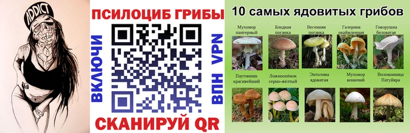 где купить   Наро-Фоминск  Галлюциногенные грибы мухоморы 