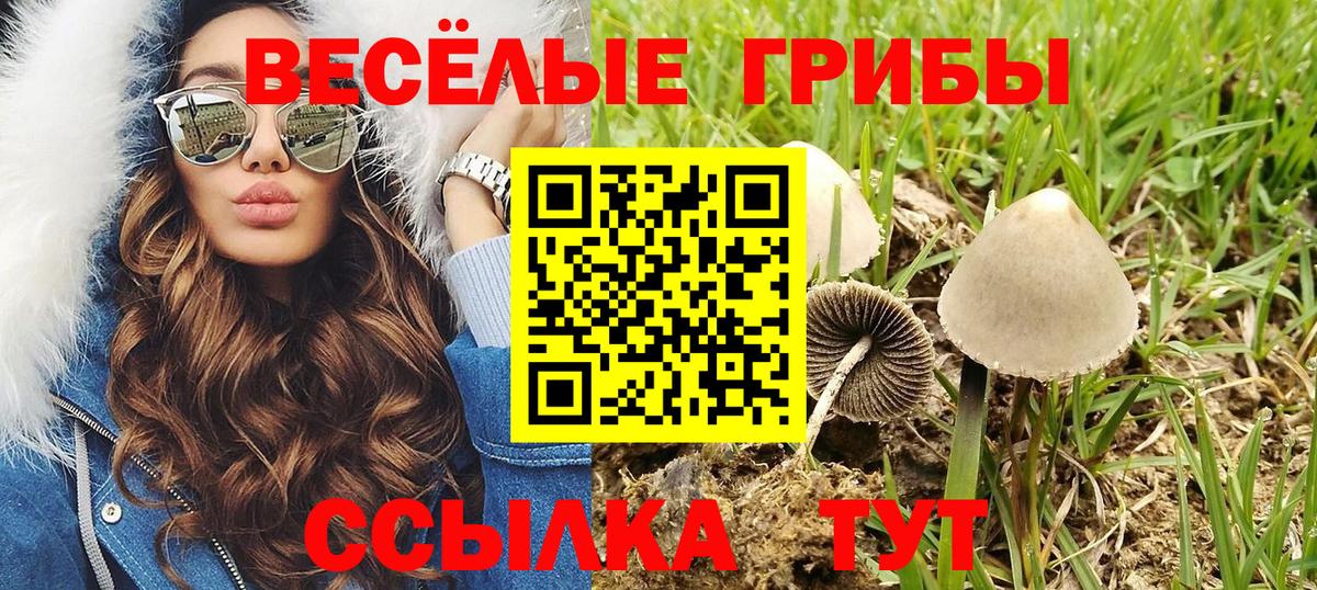 как найти закладки  Галлюциногенные грибы мухоморы  Наро-Фоминск  Псилоцибиновые грибы мицелий 