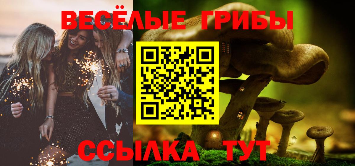 где купить наркоту  Псилоцибиновые грибы мицелий  Псилоцибиновые грибы мицелий  Вход с VPN  Наро-Фоминск 